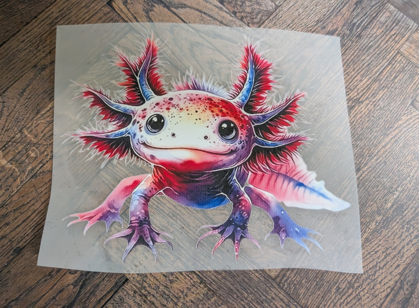 Axolotl 1 L