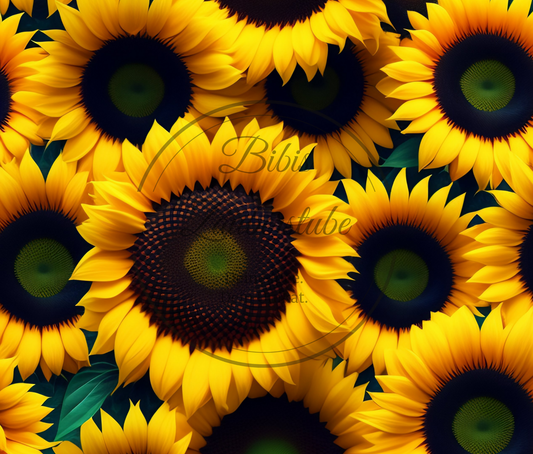Blumen / Pflanzen 64