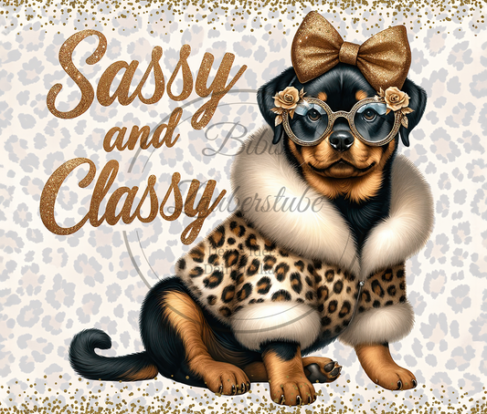Hund / Katze 57