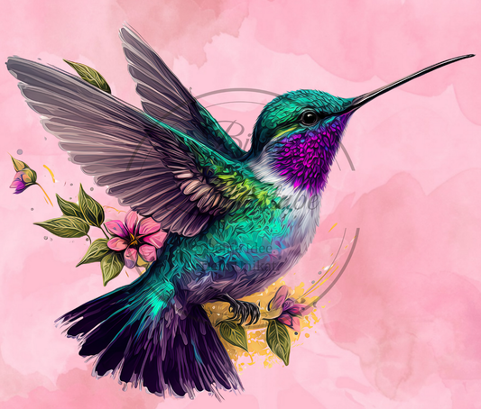 Kolibris 2