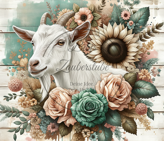 Tiere 6