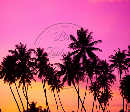 Meer 23