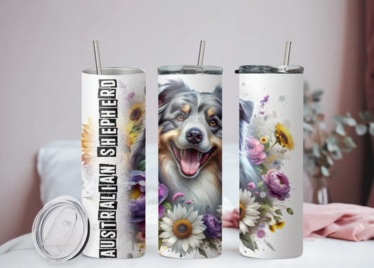 Australian Shepherd Becher