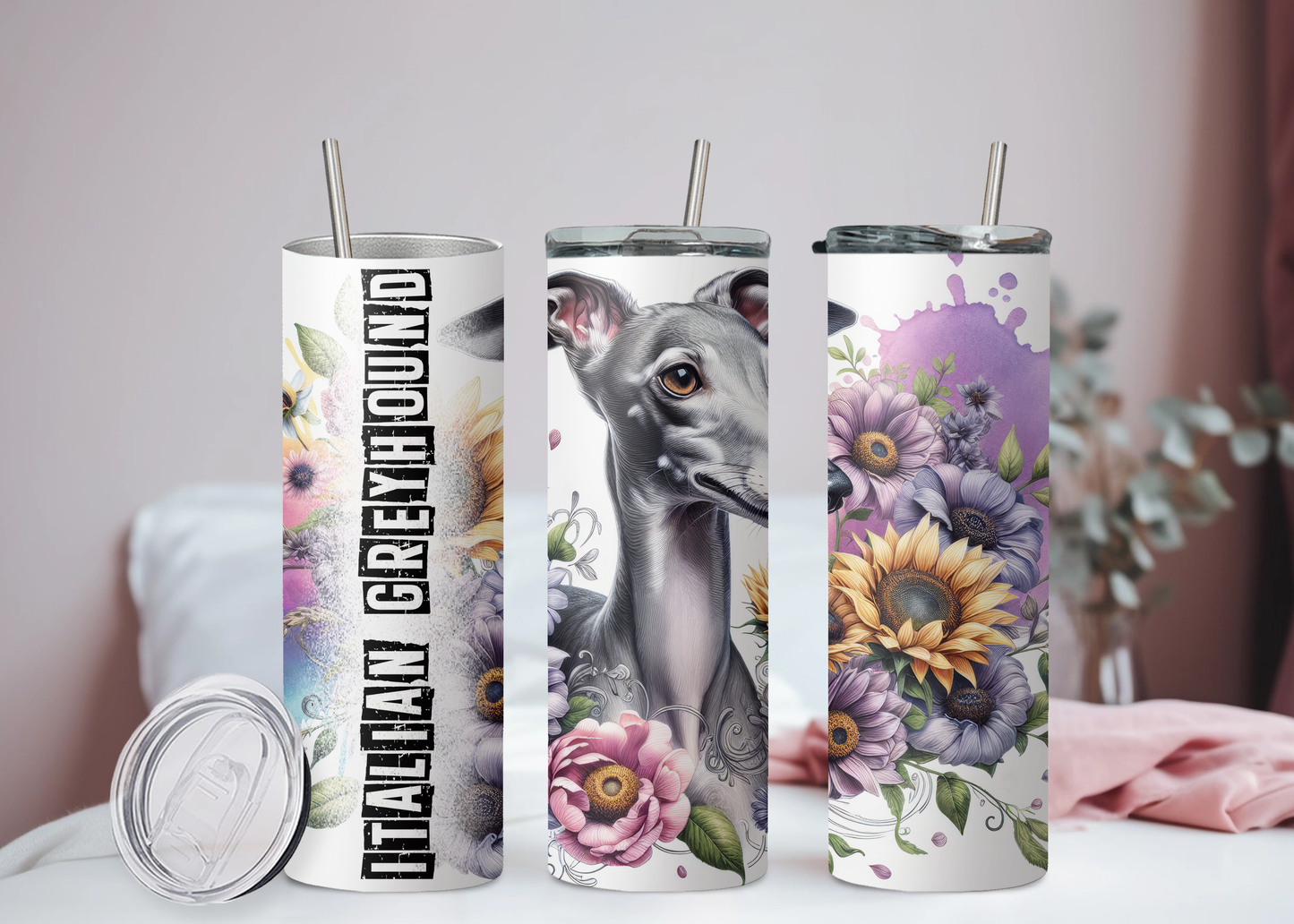 Italian Greyhound Becher