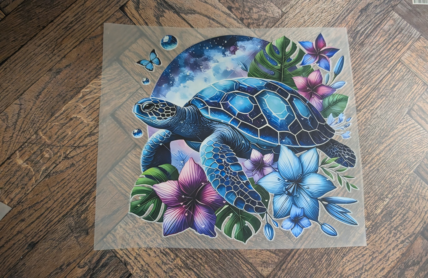 Meeresschildkröte 3 M