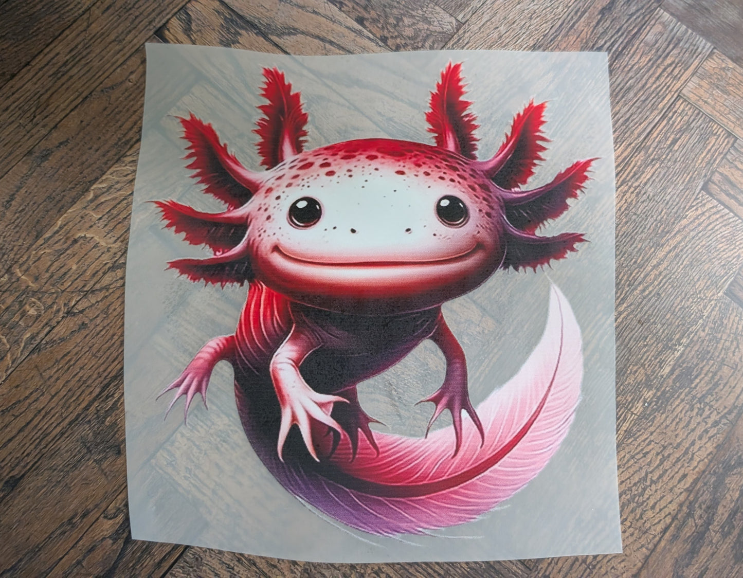 Axolotl 4 L