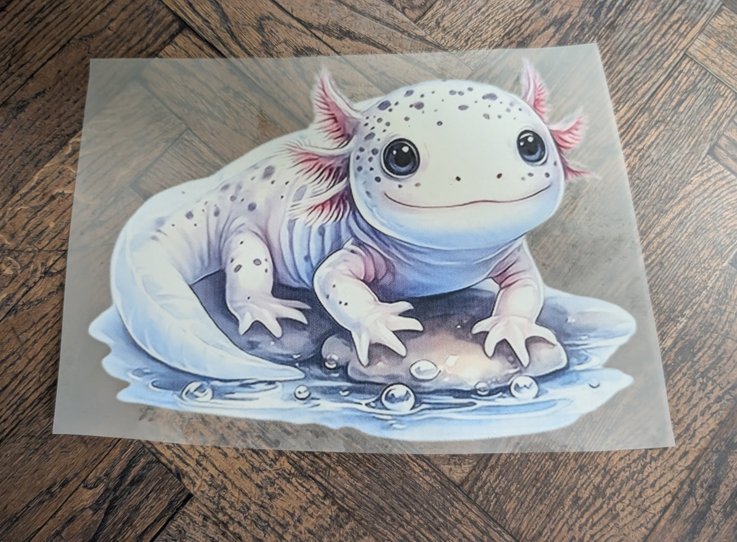 Axolotl 3 L
